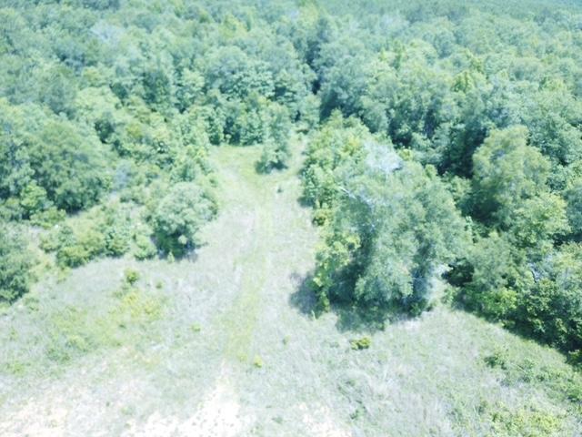 1565 County Road 3102, Call, TX 75933 - photo 26