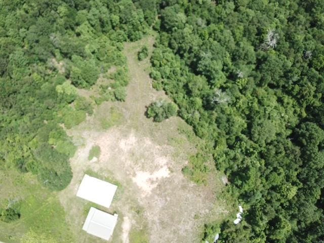 1565 County Road 3102, Call, TX 75933 - photo 21