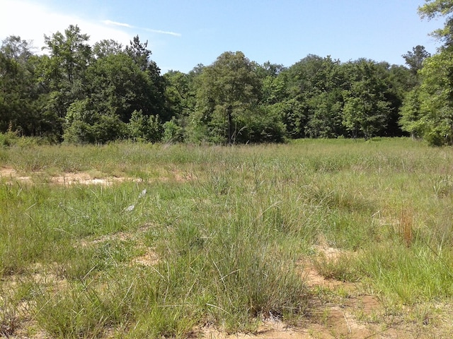 1565 County Road 3102, Call, TX 75933 - photo 17