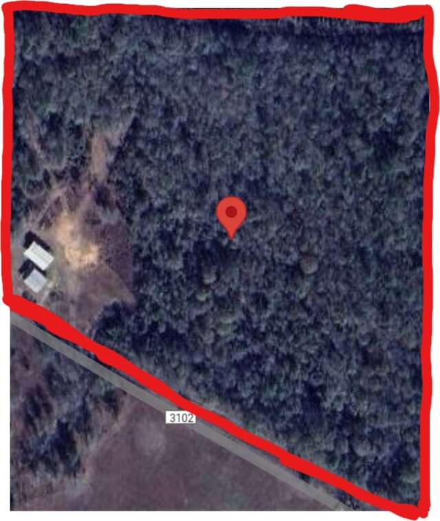 1565 County Road 3102, Call, TX 75933 - photo 20