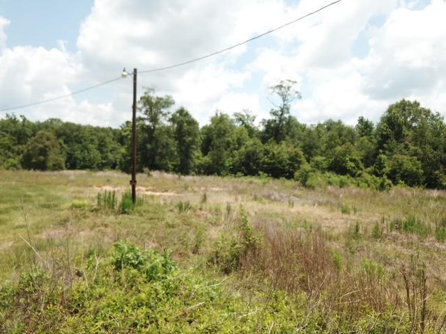 1565 County Road 3102, Call, TX 75933 - photo 23