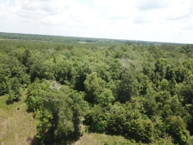 1565 County Road 3102, Call, TX 75933 - photo 25