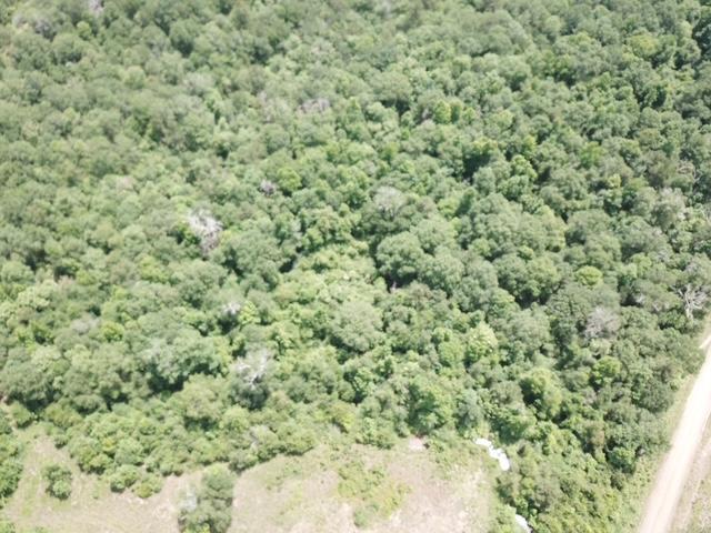 1565 County Road 3102, Call, TX 75933 - photo 28