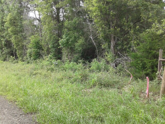 1565 County Road 3102, Call, TX 75933 - photo 16