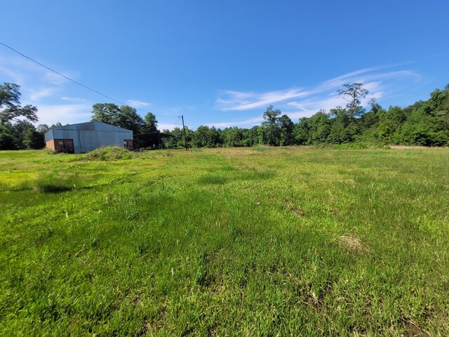 1565 County Road 3102, Call, TX 75933 - photo 5