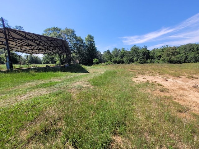 1565 County Road 3102, Call, TX 75933 - photo 3