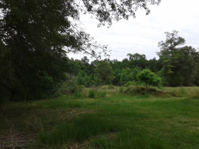 1565 County Road 3102, Call, TX 75933 - photo 14