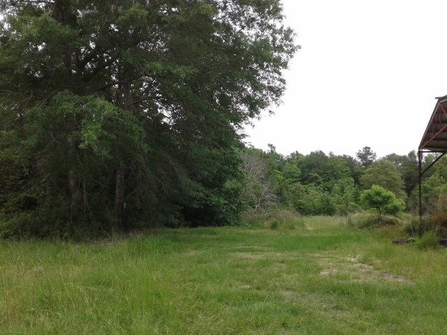 1565 County Road 3102, Call, TX 75933 - photo 13