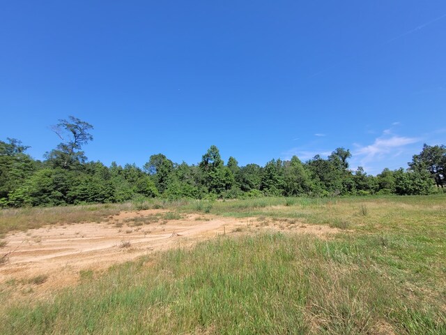 1565 County Road 3102, Call, TX 75933 - photo 8