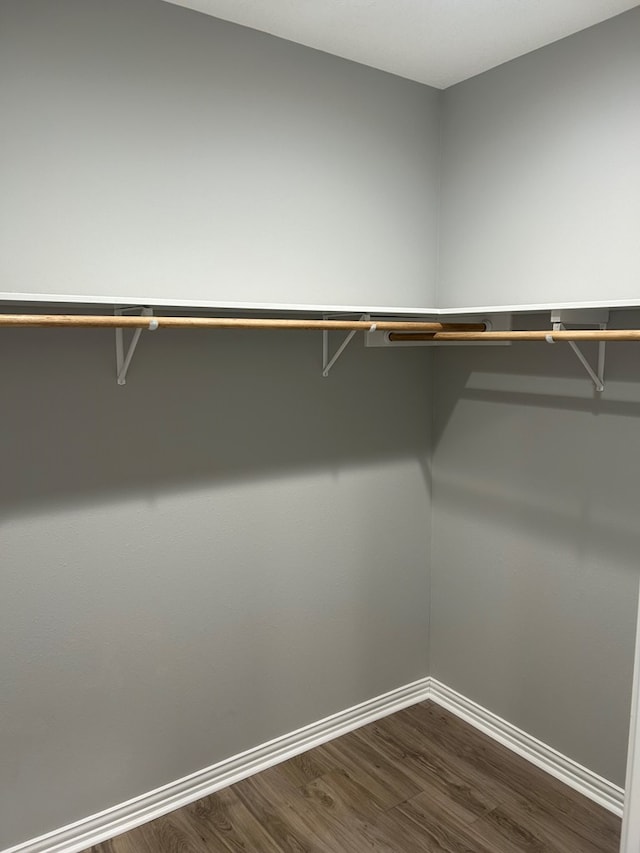 283 Dogwood Rd, Brookeland, TX 75931 - spacious closet with dark wood-type flooring