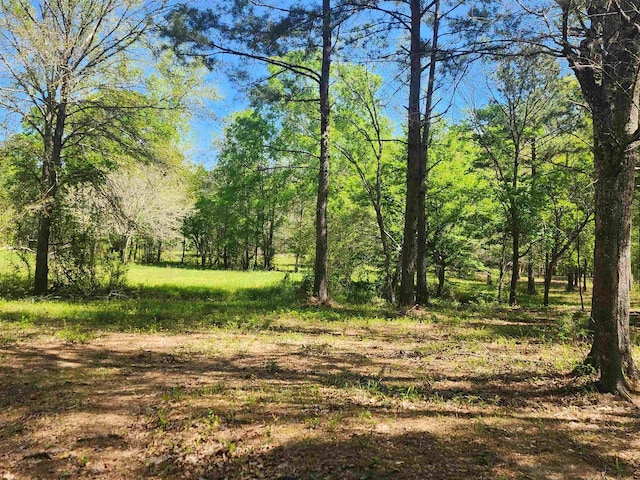 Listing photo 3 for 290 County Road 070, Jasper TX 75951