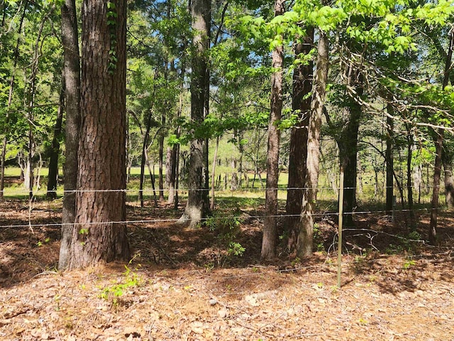 Listing photo 2 for 290 County Road 070, Jasper TX 75951