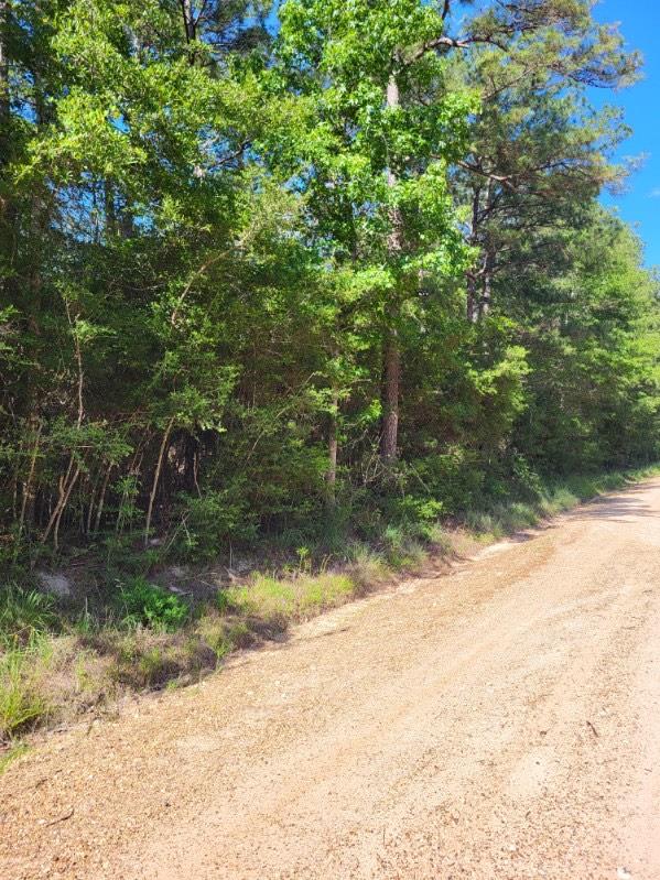 L73641 Blair Rd, Corrigan, TX 75939