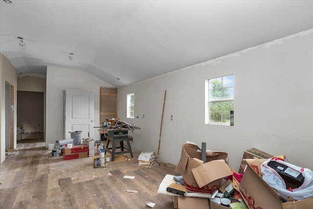 interior space with a healthy amount of sunlight, wood finished floors, and lofted ceiling