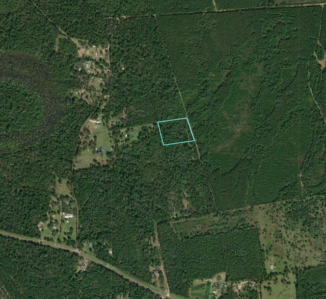 A16TR12-4 County Road 4060, Bon Wier TX, 75928 land for sale