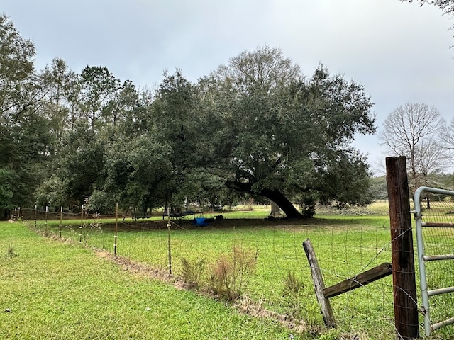 view of yard featuring a rural view