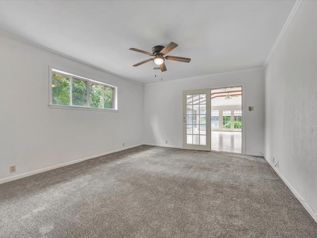 carpeted empty room with ceiling fan and ornamental molding