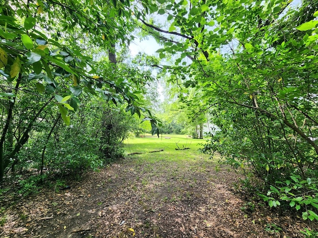 1008 Oquinn Rd, Lufkin, TX 75904
