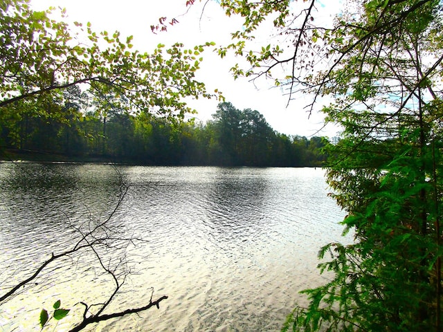 view of water feature