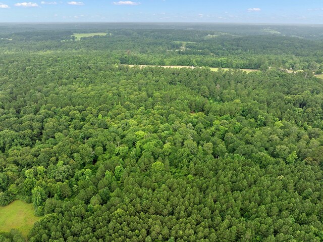 67.8ACRES County Road 613, Nacogdoches, TX 75964 - photo 5