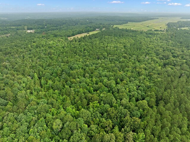 67.8ACRES County Road 613, Nacogdoches, TX 75964 - photo 6