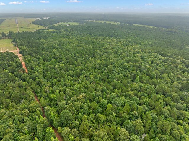67.8ACRES County Road 613, Nacogdoches, TX 75964 - photo 8