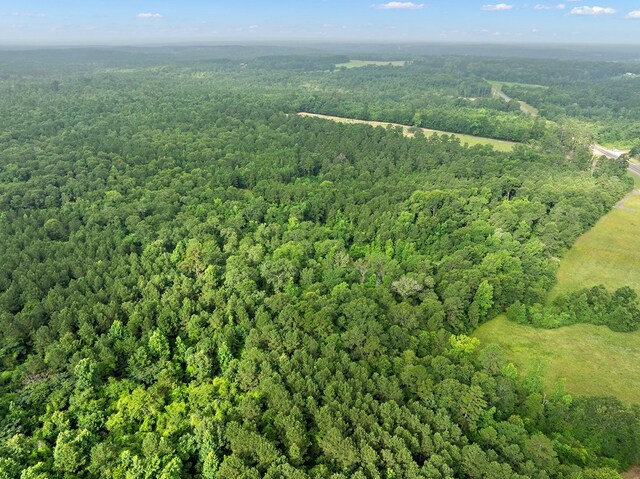 67.8ACRES County Road 613, Nacogdoches, TX 75964 - photo 4
