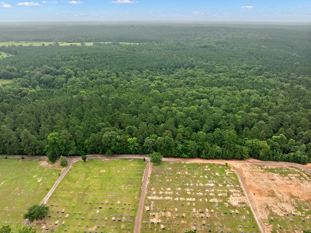 67.8ACRES County Road 613, Nacogdoches, TX 75964 - photo 10