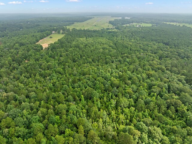 67.8ACRES County Road 613, Nacogdoches, TX 75964 - photo 7