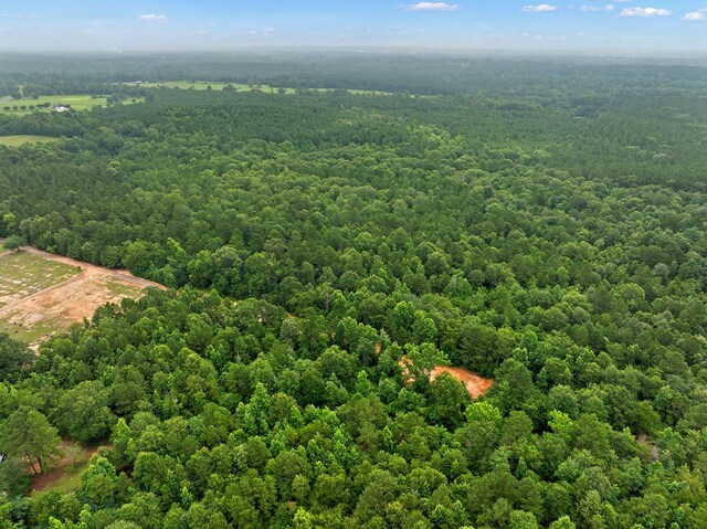 67.8ACRES County Road 613, Nacogdoches, TX 75964 - photo 9