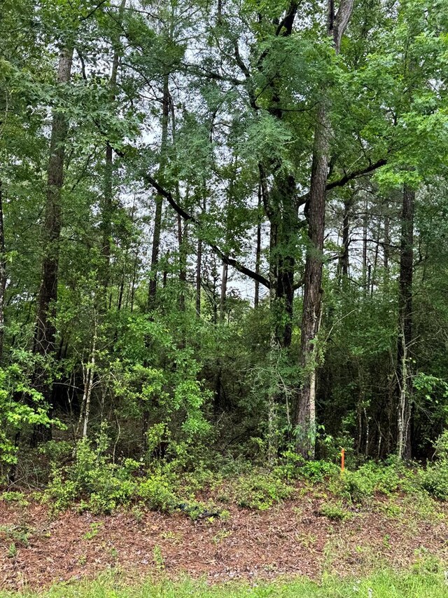 1945 Fm 353, San Augustine, TX 75972
