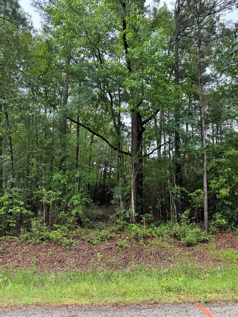1945 Fm 353, San Augustine, TX 75972