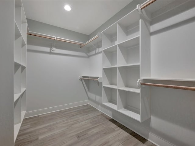 spacious closet featuring light wood-type flooring