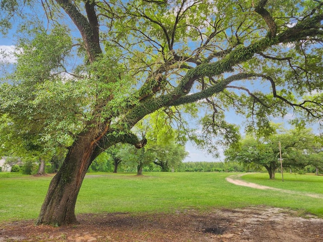 3723 Fm 256, Colmesneil, TX 75033 - photo 49