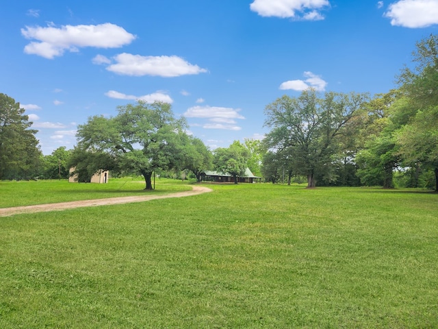 3723 Fm 256, Colmesneil, TX 75033 - photo 40