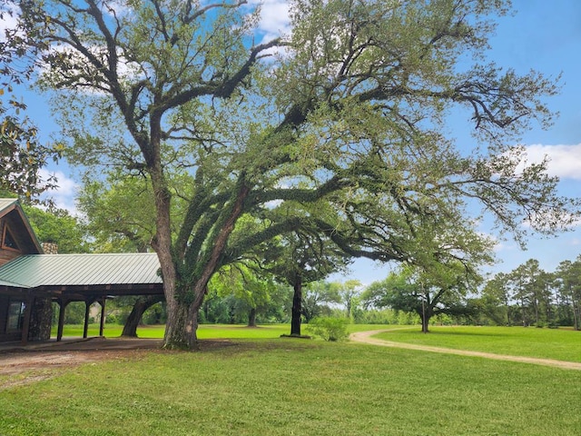 3723 Fm 256, Colmesneil, TX 75033 - photo 51