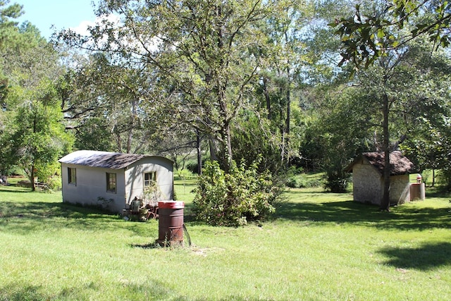 view of yard