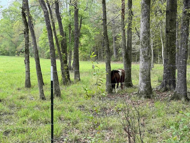 view of nature