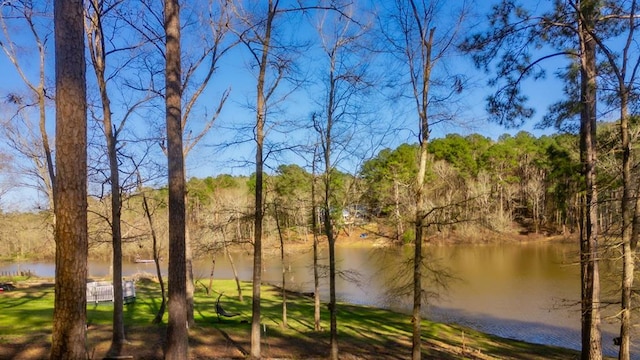 view of water feature featuring a view of trees