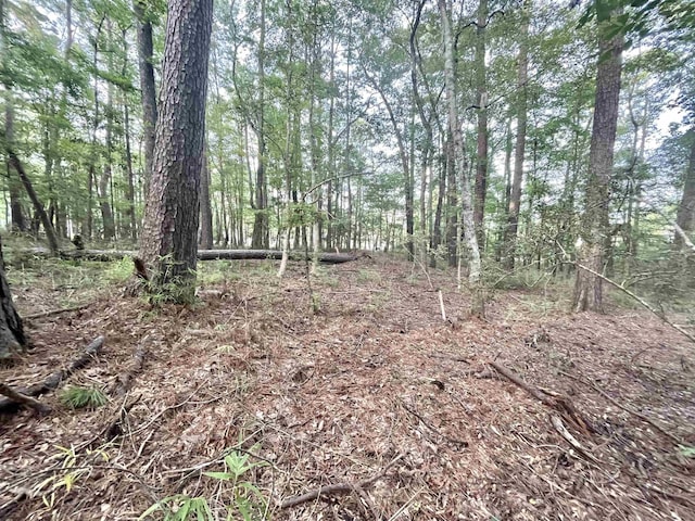 R000110951 Lakeshore Dr, Hemphill, TX 75948