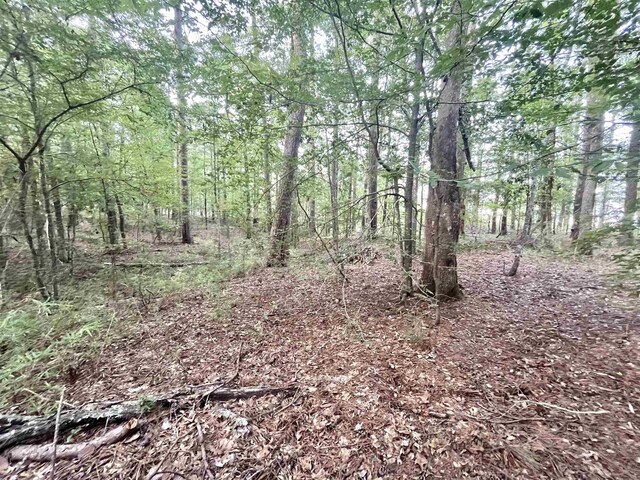 R000110951 Lakeshore Dr, Hemphill, TX 75948