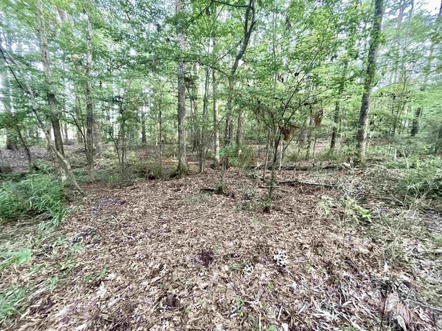 R000110951 Lakeshore Dr, Hemphill, TX 75948
