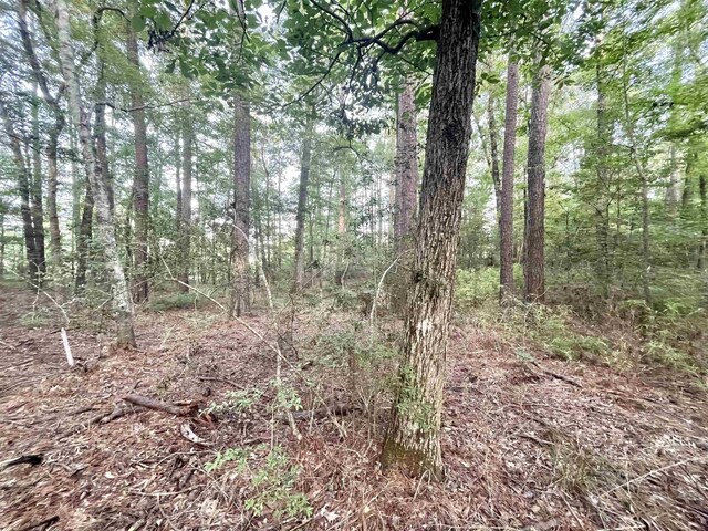 R000110951 Lakeshore Dr, Hemphill, TX 75948