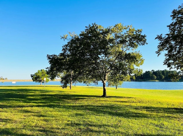 R000110951 Lakeshore Dr, Hemphill, TX 75948