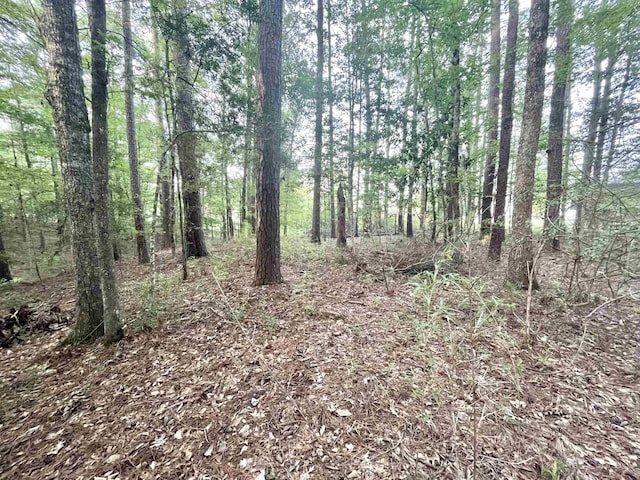 R000110951 Lakeshore Dr, Hemphill, TX 75948