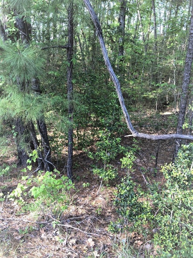 224 Piney Pt, Brookeland, TX 75931