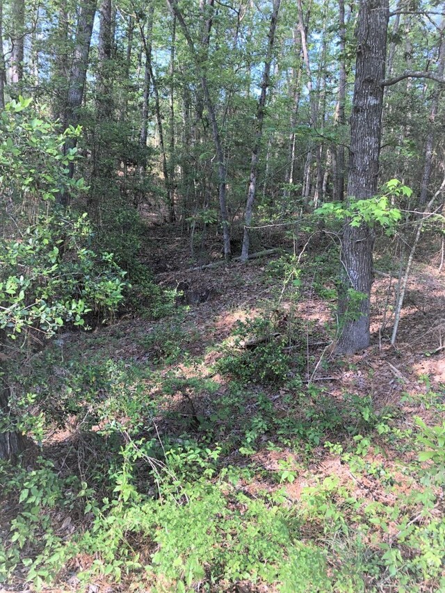 224 Piney Pt, Brookeland, TX 75931