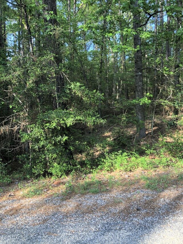 224 Piney Pt, Brookeland, TX 75931