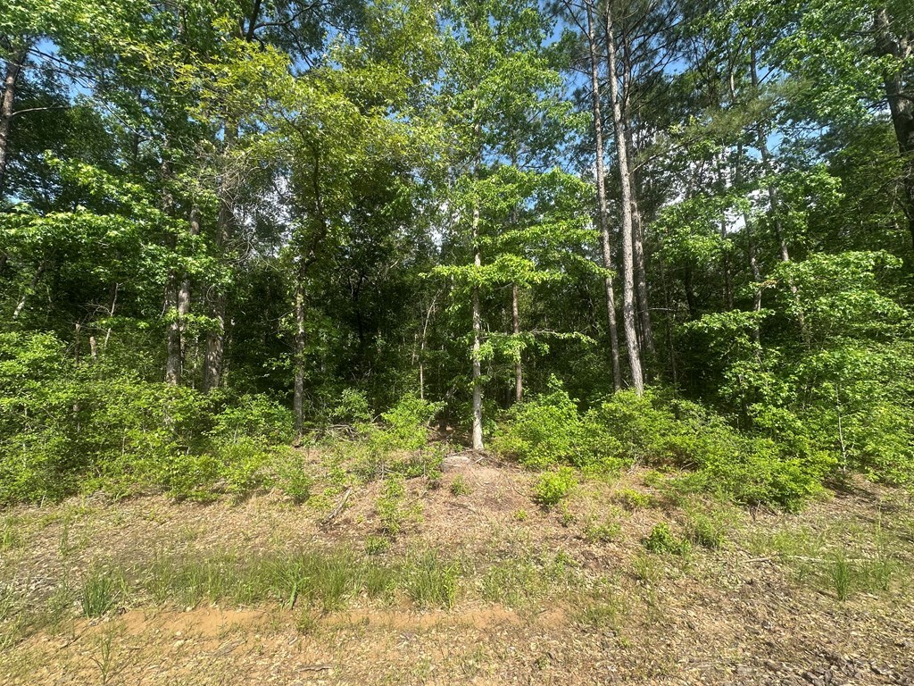 2 Fm 2262, Apple Springs, TX 75926 - photo 2