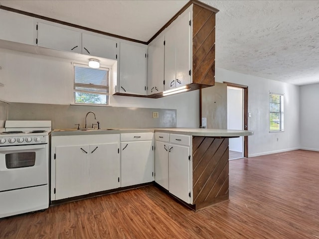 kitchen with white range oven, plenty of natural light, dark hardwood / wood-style floors, and sink